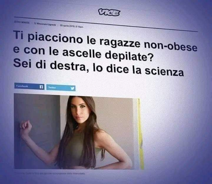 FB_IMG_1679734564605.jpg