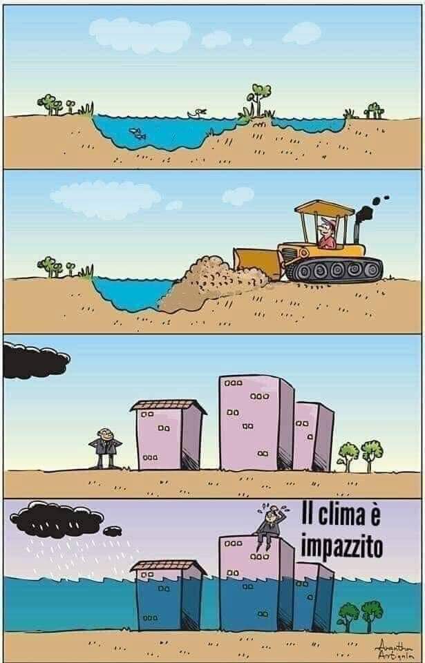FB_IMG_1684445853550.jpg