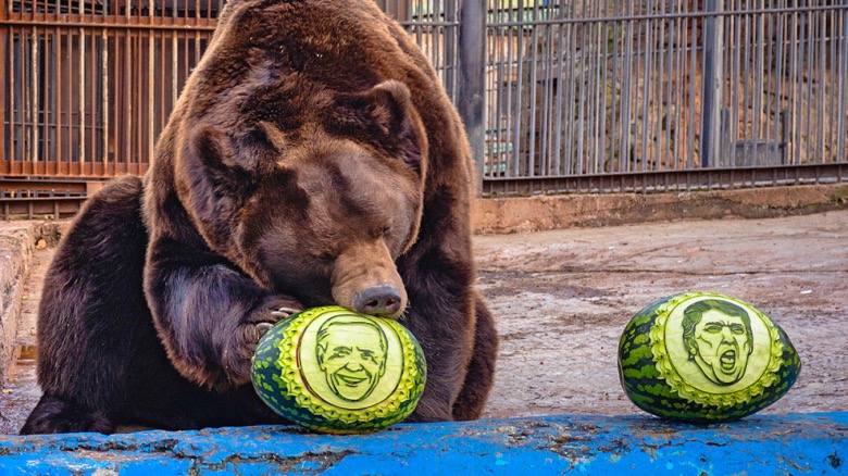 orso.jpg