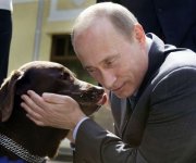 Putin, un cattivo animale (di Franco Marino)